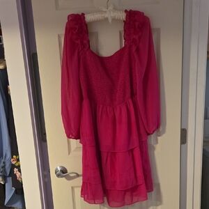 Brand New Byinns Fuschia Ruffled Long Sleeve Dress